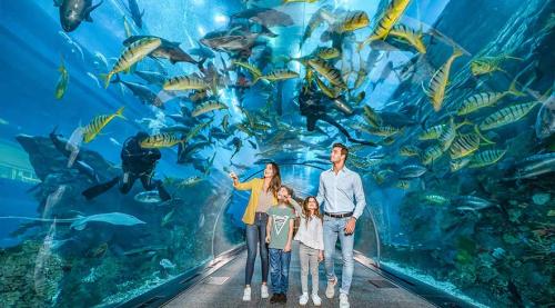 Dubai-Aquarium-Underwater-Zoo - Copie
