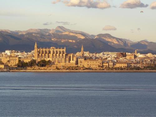 mallorca-253849_1280