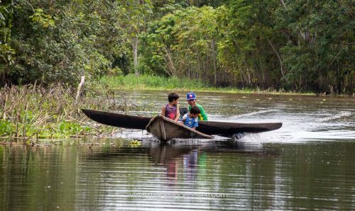 Amazonie fleuve